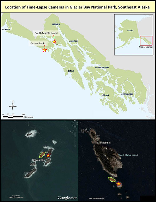 Glacier Bay National Park has two of the fastest growing Steller sea lion haulouts in Southeast Alaska Graves Rocks a rookery and South Marble Island a haulout We placed a timelapse camera at each site during 2016 In the images of South Marble Island and Graves one normal location for Steller sea lions aggregations has been circled and the camera system is indicated by a star