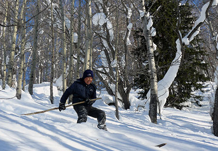 An Altai youth descends through as aspen grove on handmade traditional Altai skis using a single pole made from birch