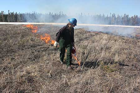 Sue Rodman puts fire on the ground About 800 acres of the Delta Junction Bison Range were burned  in April 2017 to enhance habitat for wildlife Photo Tim MowryAlaska Division of Forestry