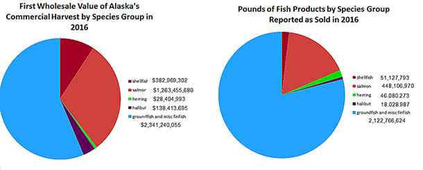 One thing that might be surprising about Alaskarsquos commercial fisheries is the value of a fishery does not necessarily correspond to the harvest  There are many factors affecting this  Some of those factors include supply and demand popularity of the finished product forms and strategic marketing  This graph illustrates the differences between these values  As you can see shellfish and halibut are a small percentage of overall harvest but have a high value associated with the end product forms