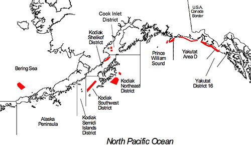Scallop fishing areas in red Kodiak Island is left of center on the map The Yakutat area beds are the long red lines along the coast on the upper right Yakutat Bay is the large bay on the coast in the middle of Yautat area D