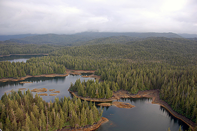 The Southeast Alaska landscape  little brown bat habitat