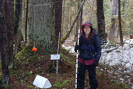 Caitlin Kupferman at one of the study sites near Juneau The triangular shaped quothutquot contains small wire brushes typically used for cleaning a gun to snag small tufts of hair from an animal that enters to investigate an attractant in the back The orange container holds a scent lure to help draw an animal in