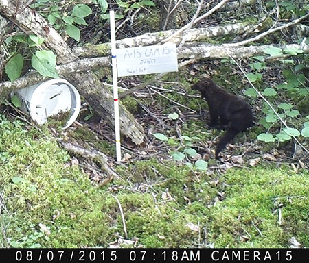 The same fisher one minute later A small wire brush can be seen on the inside of the bucketstyle set