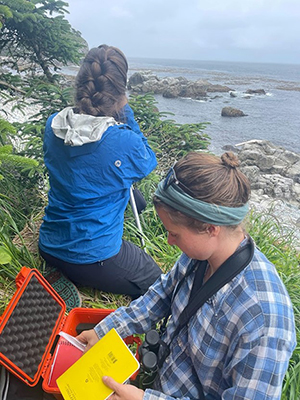 Wildlife Technicians Kit and Lyda preparing to count Steller sea lions on Lowry Island These annual counts keep track of how many animals use these rookeries and haulouts and monitor for changes in population demographics which could indicate changes in the health and reproductive success of the species as a whole
