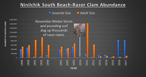 Figure 2 Razor clam estimated abundance of juvenile clams less than 3 inches lt80 mm in length and adult clams greater than or equal to 3 inches ge80 mm in length based on the years from 19892005 The surveys were conducted in concert with the spring and summer clam fishery and from 20112017 when abundance surveys were conducted before most of the historic harvest occurred