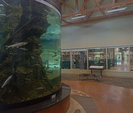 The centerpiece of the Tanana Valley Fisheries Center is a 5000 gallon aquarium that allows visitors to get nosetonose with various species of fish Visitors also have the opportunity to view the production floor through multiple large windows