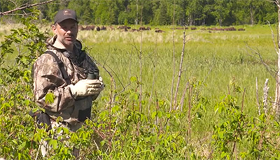 Biologist Tom Seaton in the Innoko River area with wood bison in the background