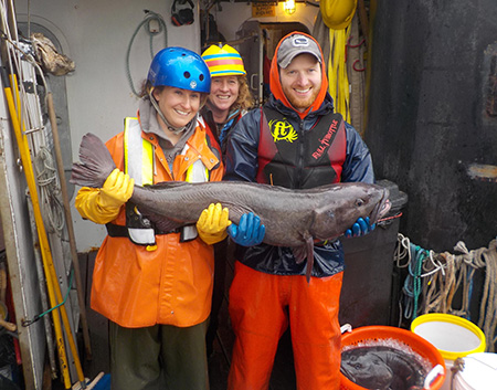 Project leader Andrew Olson right with groundfish biometrician Jane Sullivan left and Medeia crewmember Becky Wilson with a big black cod  The orange tag is visible in the dorsal fin near the center of the image The fish was released alive Photo by Aaron BaldwinADFampG