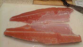 Coho fillets the backbone has been left in the lower fillet