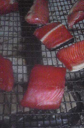 Salmon drybrined and dried ready for the jars and the pressure cooker