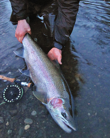 A fish that wonrsquot be soon forgotten