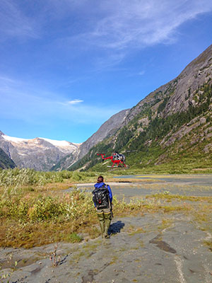 Wolf biologist Gretchen Roffler walks toward a helicopter after examining a wolf kill site in Berners Bay in 2018 which was identified by a cluster of GPS points logged by a pair of collared wolves