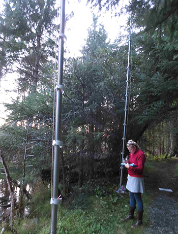 Biologist Michael Kohan sets up a mist net near Fish Creek on Douglas Island Bats fly into the net at night while foraging biologists carefully untangle them process them determine species gender take measurements and sometimes ID tag radiotag or swabtest them for disease and then release them