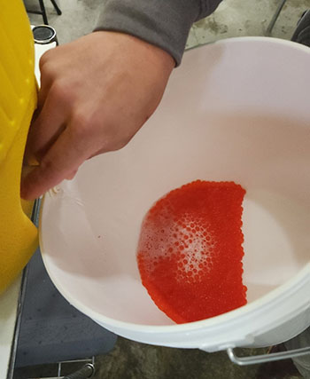 Activation of eggs and milt with salt water