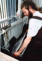 All photos courtesy KBRR