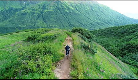 Bicyclists and runners should be especially alert to wildlife