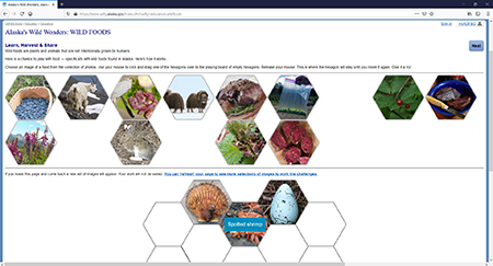 Back cover activity and online version of 2020 wild food game piecesactivities