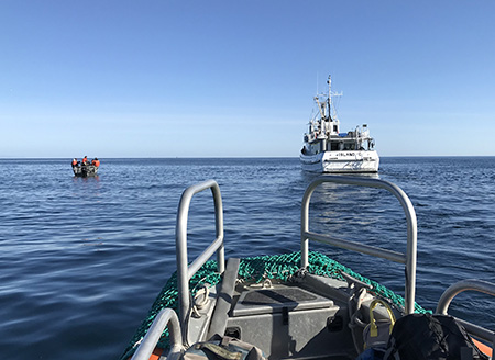 Returning to charter vessel RV Island C after scanning a haulout for good catching opportunities  The captain and crew of large vessels make it possible to work remote spots along the Alaska coast  This cruise travelled from Homer to Kodiak and back over 13 days