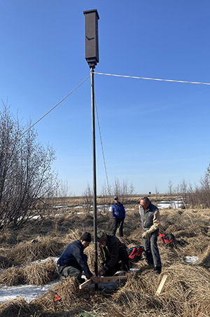 Erecting the bat house on Potter Marsh Photo by Arin Underwood