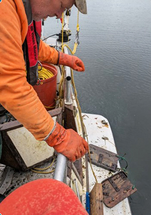 Otter boards on swim step at stern of boat Mark Stopha photo