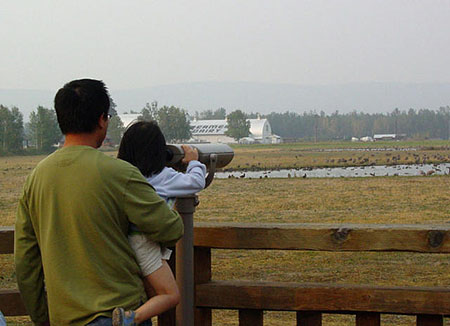 Crane watchers at Creamers Field in Fairbanks Wildland fires created a smoky haze that particular summer Photo by Riley Woodford
