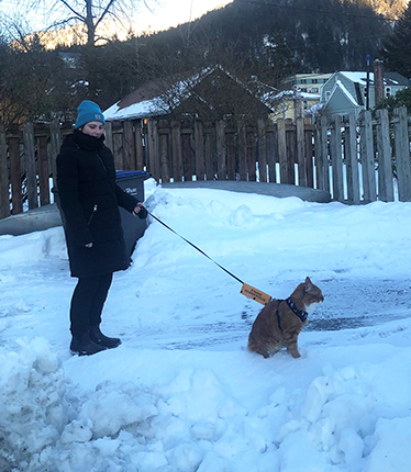 Walking Nico on a leash Photo by Riley Woodford