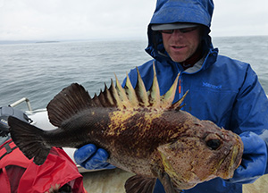 Philip Tschersich with a quillbqack rockfish photo by Carrie Worton