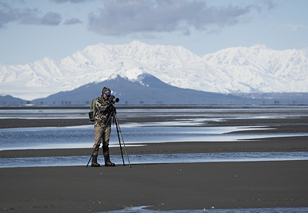 Biologist Tasha DiMarzio stalking Red Knots on a clear day in Controller Bay Controller Bay is east of Prince William Sound and 60 miles from Cordova which is not connected to Alaskarsquos road system