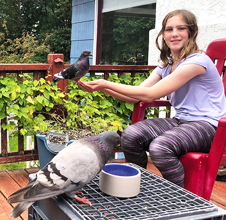 Pigeons are extremely social animals and very receptive to training