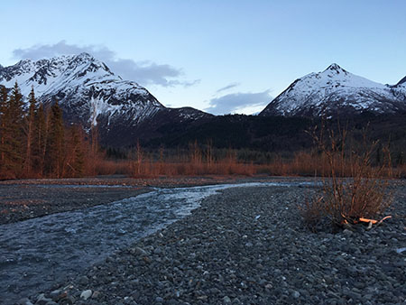 The campsite in predawn light where the wolverine was seen in May  Photo by Karl Boehmer
