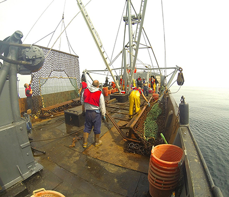 The Provider at work The dredge is hanging to the left with the opening on deck and the ring bag above A second dredge is on the right on deck Photo by Jessica Glass