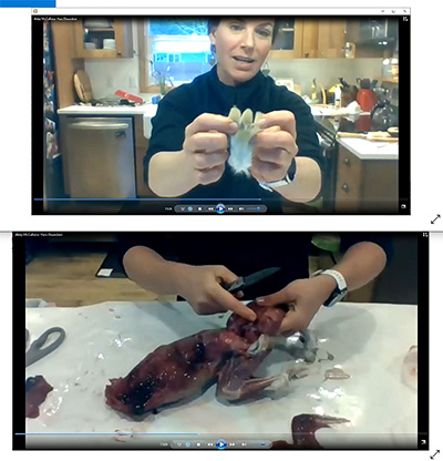 ADFampG Education and Outreach Specialist Abby McAllister presents an online hare field dressing demonstration to Floyd Dryden Middle Schoolrsquos entire sixth grade student body in February 2021 as a compliment to the school districtrsquos annual Hunter Education Curriculum Studentsrsquo feedback indicated this was their favorite part of the curriculum