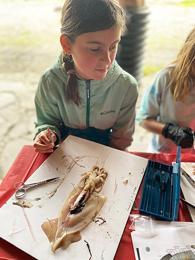 Kiaija Wood dissects a squid Kellii WoodADFampG