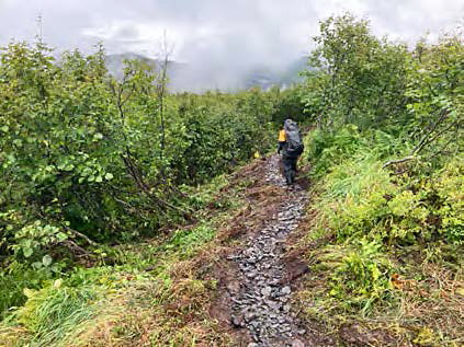 Brushing and establishing a durable trail surface have been large components for this ongoing project in Denali State Park slated to finish in 2022