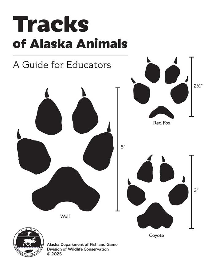 Tracks of Alaska Animals
