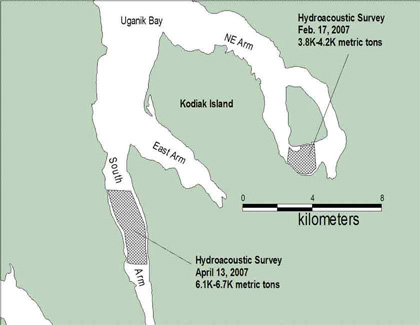 Biomass estimates from hydroacoustic surveys in Uganik Bay February and April 2007