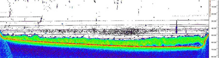 Echogram of herring biomass in Northeast Arm Uganik Bay February 2007