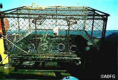 5quot escape rings on a vertical plane of a Tanner pot