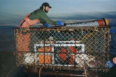Underwater camera video and battery attached to an aluminum frame inside a crab pot