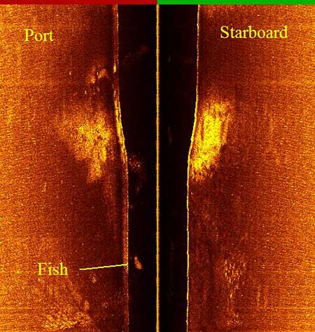 Sonar image from Karluk lake showing the scan from the port and starboard sides of the AUV