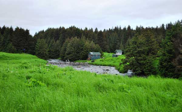Afognak River weir and field station