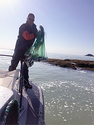 Sampling herring using a cast