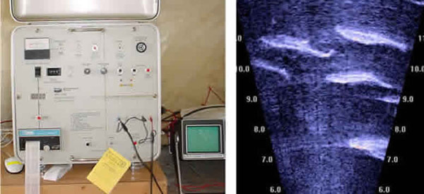 A Bendix echo counter left printed hourly fish counts on paper tape DIDSON right produces ultrasoundlike video images of fish See detailed explanation of how sonar goal transitions impacted a hrefstaticfishingpdfsresearchsonarKenaiKasilofescapementgoalchangespdfKenai and Kasilof escapment goals in 2011a