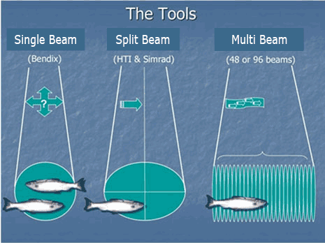 Most sonar technologiesincluding Bendix and splitbeam sonaruse only one beam to ensonify an area of the river Imaging sonar uses a fan of multiple beams