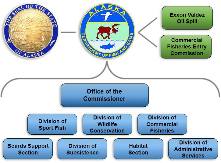 department organizational chart
