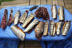 subsistence harvests