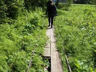 Degrading wood planks will be replaced