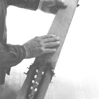 Do a good job of making sure the scraped pelts are tacked straight on your stretcher Split the tail and tack it open too for proper drying