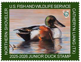 2025 Junior Duck Stamp